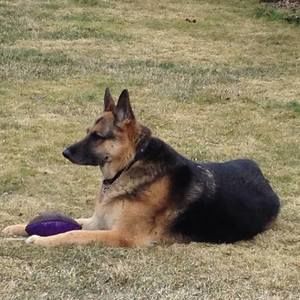 Meet your Posher, Liz